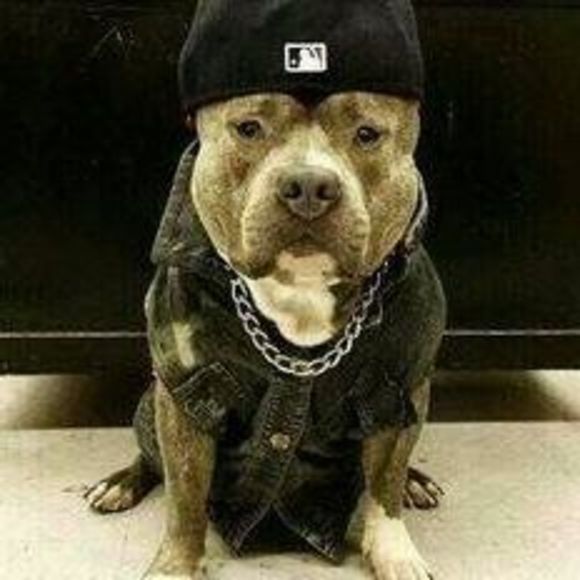 Meet your Posher, David - Picture 1 of 1